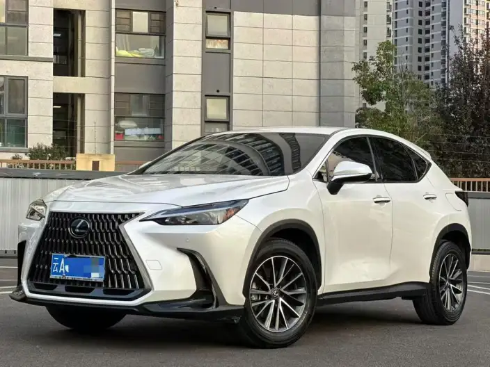 Lexus NX 2022 Model 260 Qian Drive Innovation Drive Edition – фото 1