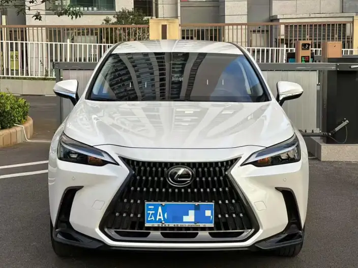 Lexus NX 2022 Model 260 Qian Drive Innovation Drive Edition – фото 2