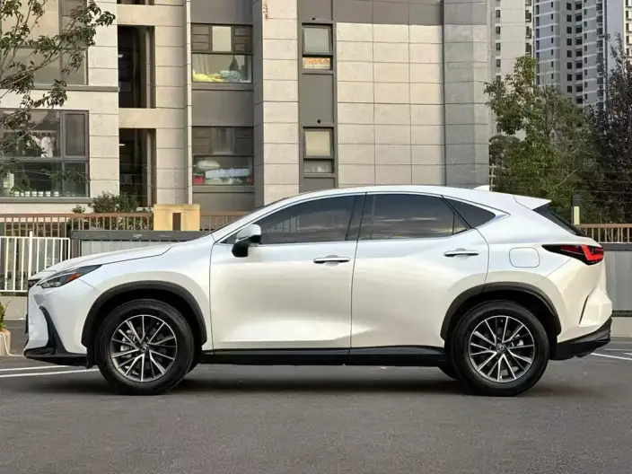 Lexus NX 2022 Model 260 Qian Drive Innovation Drive Edition – фото 3