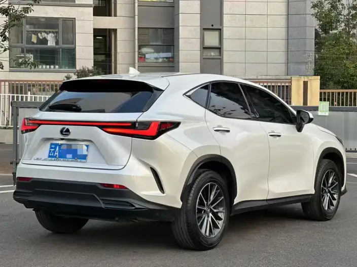 Lexus NX 2022 Model 260 Qian Drive Innovation Drive Edition – фото 5