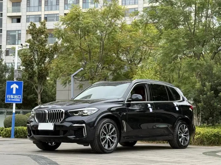 BMW X5 2022 Model Facelift xDrive 30Li M Sports Set