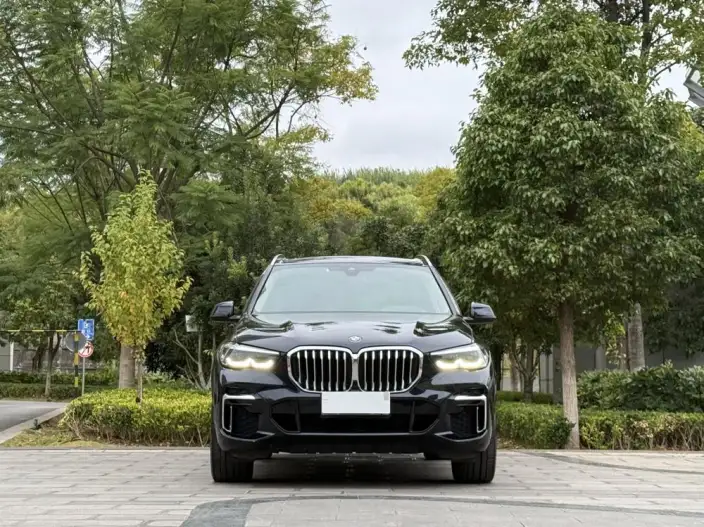 BMW X5 2022 Model Facelift xDrive 30Li M Sports Set