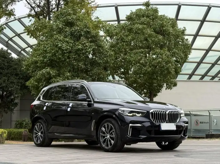 BMW X5 2022 Model Facelift xDrive 30Li M Sports Set