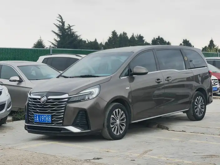 Buick GL8 2023 Model Business class 2.0T Comfort Model – фото 1