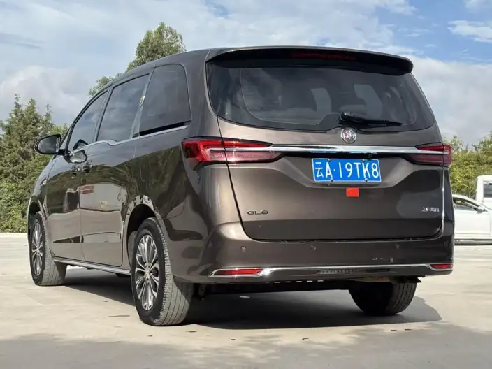 Buick GL8 2023 Model Business class 2.0T Comfort Model – фото 4