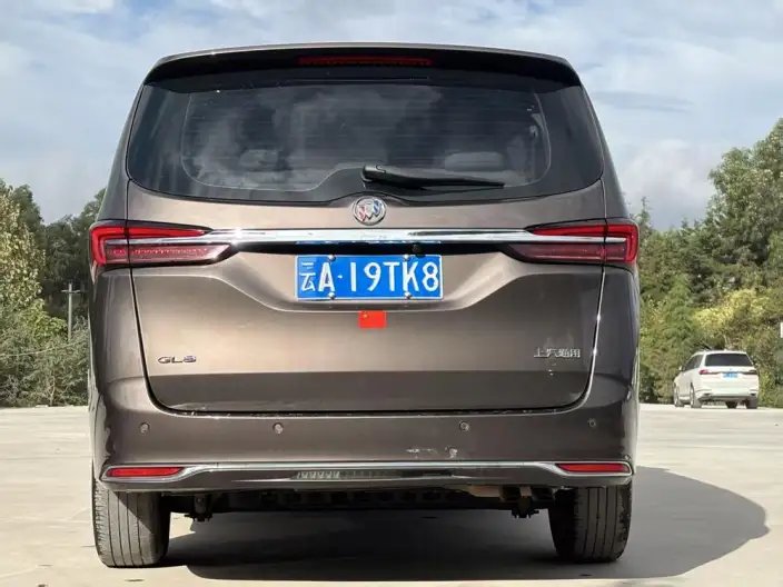 Buick GL8 2023 Model Business class 2.0T Comfort Model – фото 5