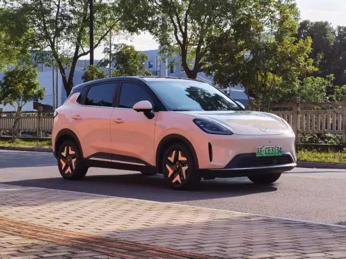 Wuling BingoS 2025 Model 430km Flagship Model – фото 3