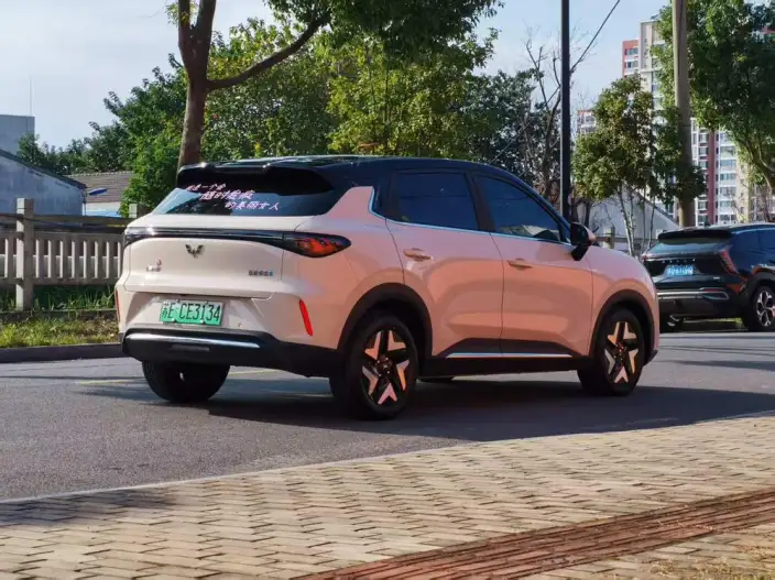 Wuling BingoS 2025 Model 430km Flagship Model – фото 7