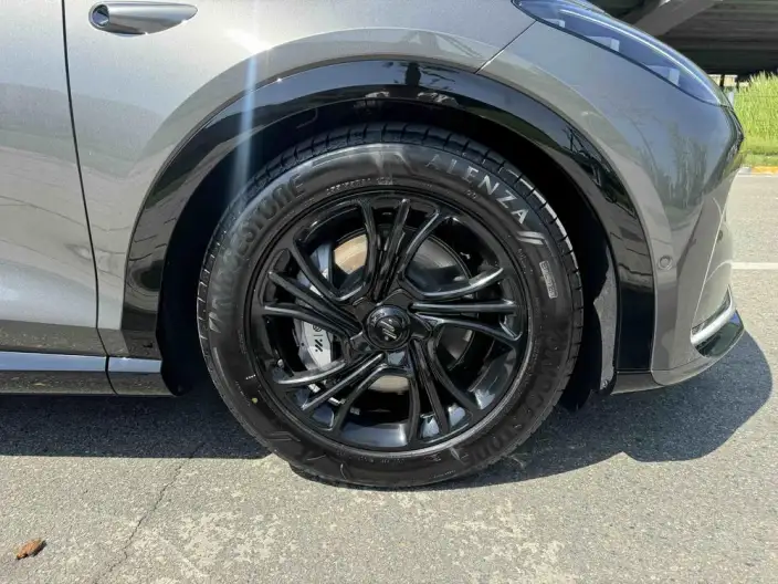 IM LS7 2023 Model Lux Rear Drive Edition – фото 8