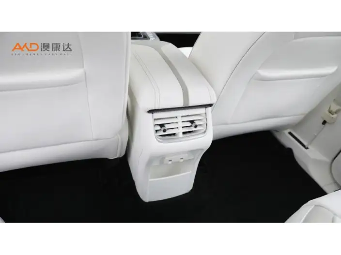 Cyber Tank 300 2021 Model 2.0T Cyber TANK – фото 6