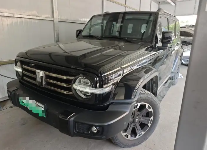 Tank 300 Hi4-T 2024 Model 2.0T Standard Model