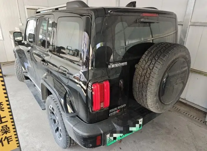 Tank 300 Hi4-T 2024 Model 2.0T Standard Model