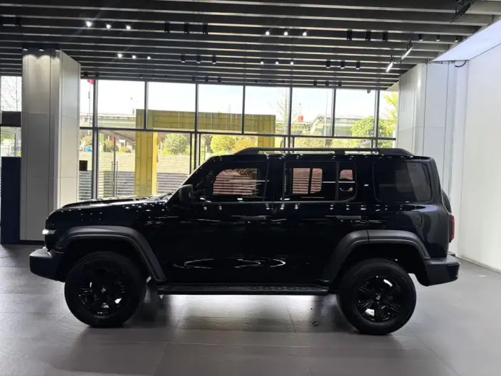 Tank 300 2024 Model 2.0T Challenger