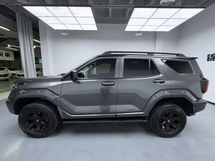 Tank 400 2025 Model 2.0T Gasoline Edition