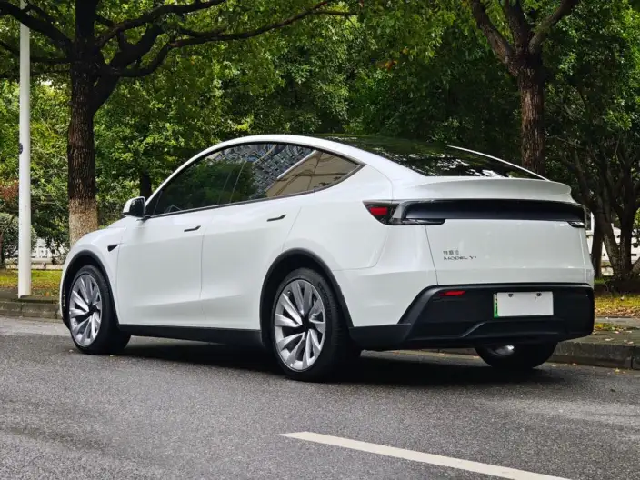 Model Y 2025 Model Long Battery Life Pro All-wheel drive version – фото 5