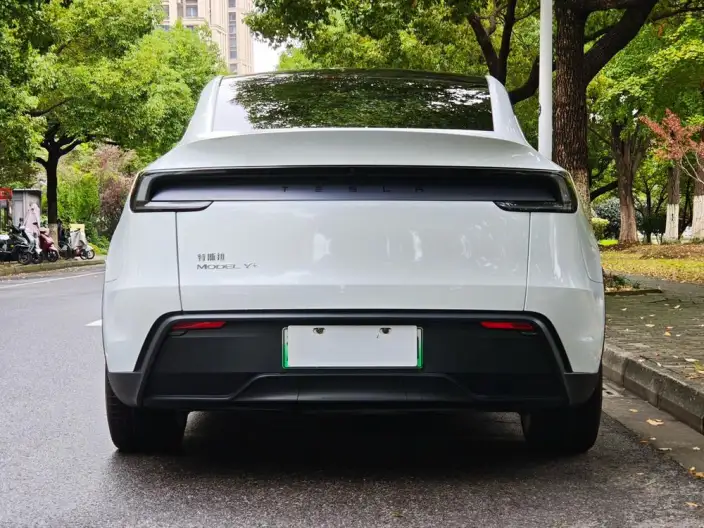 Model Y 2025 Model Long Battery Life Pro All-wheel drive version – фото 6