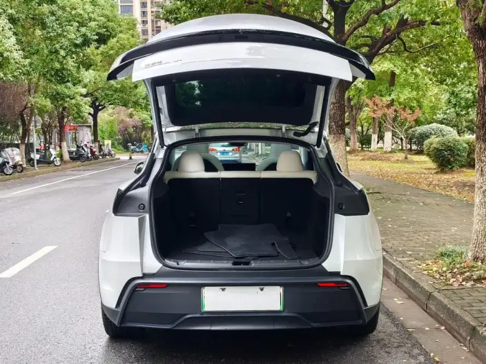 Model Y 2025 Model Long Battery Life Pro All-wheel drive version – фото 7