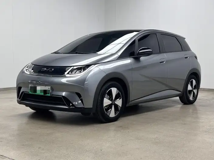 BYD Dolphin 2023 Model Fashion Edition
