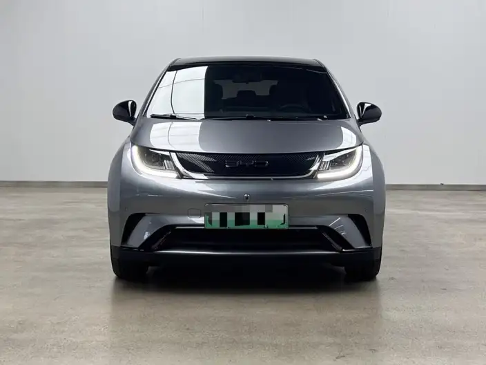 BYD Dolphin 2023 Model Fashion Edition