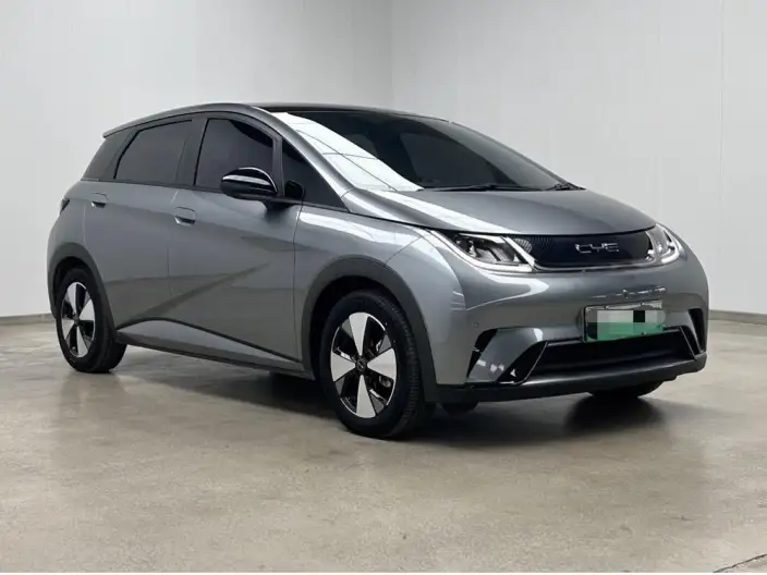 BYD Dolphin 2023 Model Fashion Edition