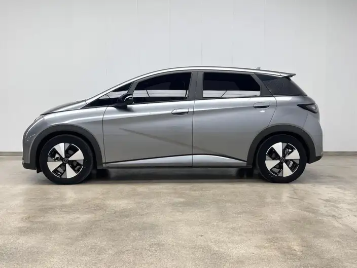 BYD Dolphin 2023 Model Fashion Edition