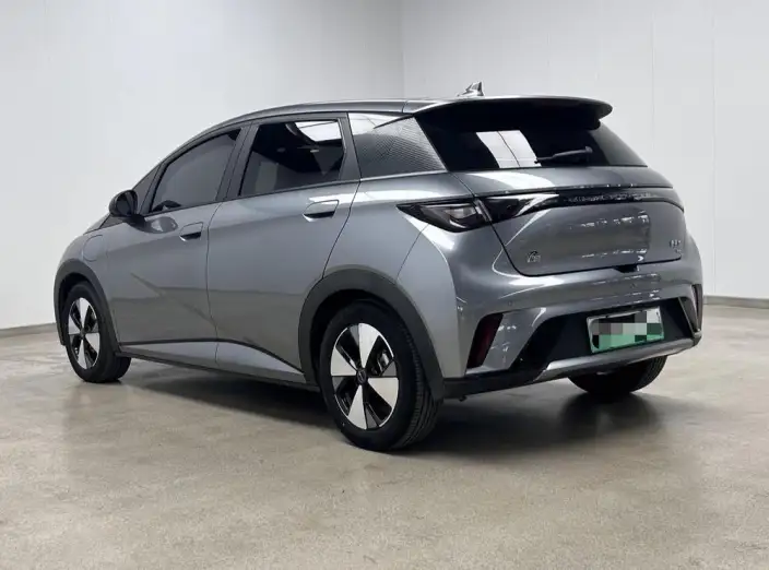 BYD Dolphin 2023 Model Fashion Edition – фото 5