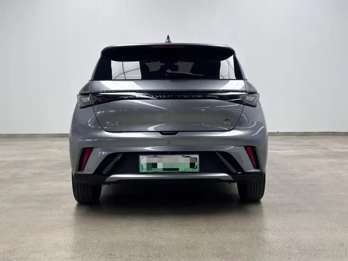 BYD Dolphin 2023 Model Fashion Edition – фото 6