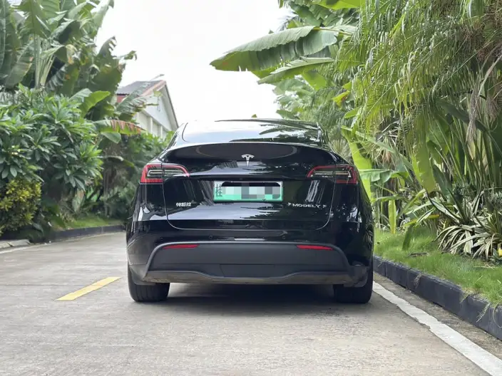 Model Y 2023 Model Rear-wheel drive version – фото 5