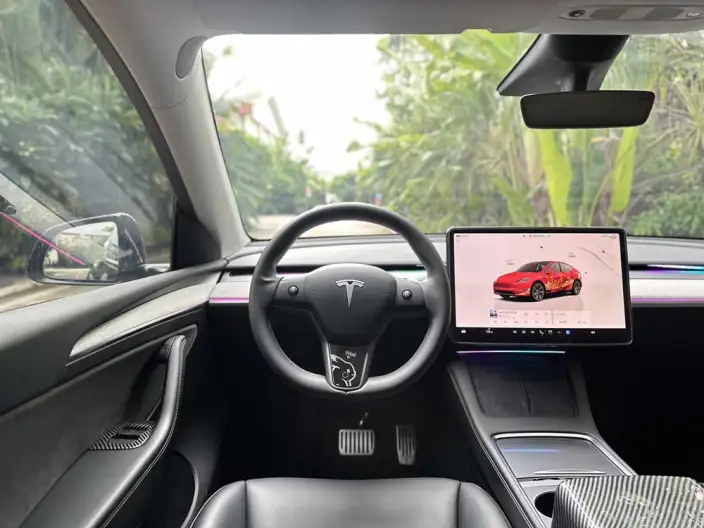 Model Y 2023 Model Rear-wheel drive version – фото 6