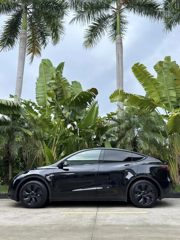 Model Y 2023 Model Rear-wheel drive version – фото 9