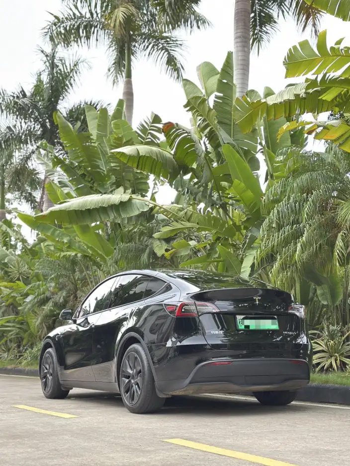 Model Y 2023 Model Rear-wheel drive version – фото 10