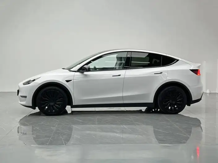 Model Y 2022 Model Long Battery Life Pro All-wheel drive version