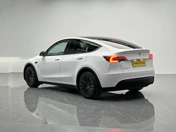 Model Y 2022 Model Long Battery Life Pro All-wheel drive version – фото 5