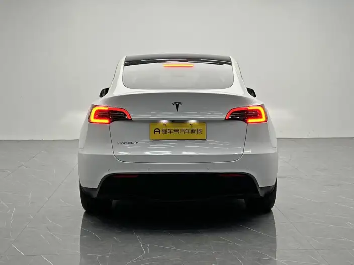 Model Y 2022 Model Long Battery Life Pro All-wheel drive version – фото 6