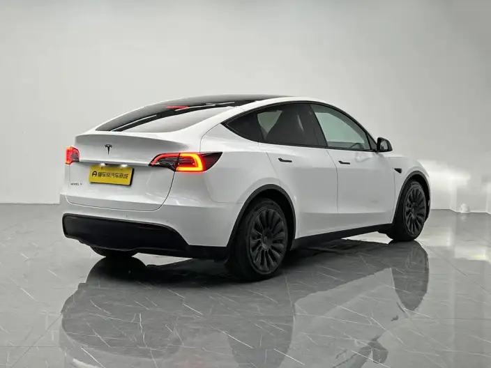 Model Y 2022 Model Long Battery Life Pro All-wheel drive version – фото 7