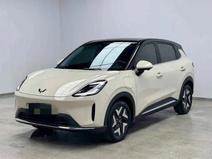 Wuling BingoS 2025 Model 325km Flagship Model