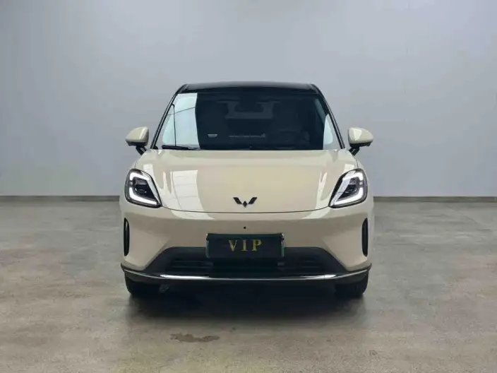 Wuling BingoS 2025 Model 325km Flagship Model