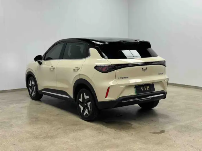 Wuling BingoS 2025 Model 325km Flagship Model