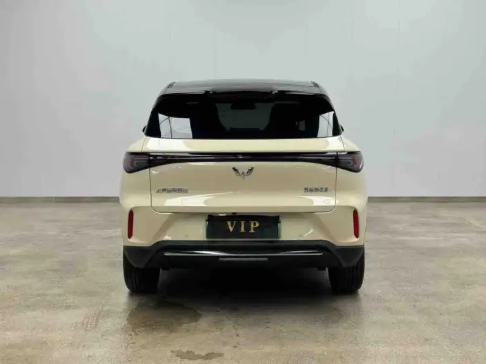 Wuling BingoS 2025 Model 325km Flagship Model – фото 5