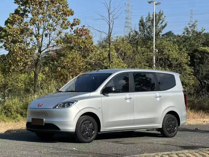 Wuling Hongguang Extended Range Edition 2025 Model 50KM Comfort Model