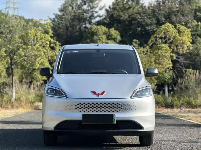 Wuling Hongguang Extended Range Edition 2025 Model 50KM Comfort Model