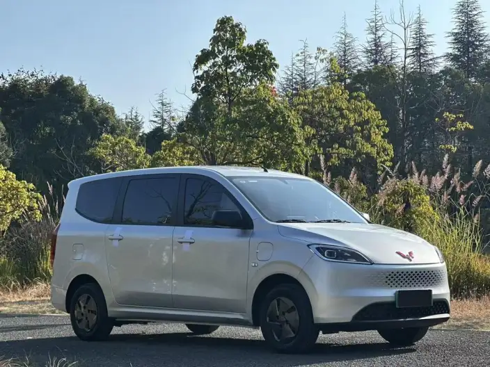 Wuling Hongguang Extended Range Edition 2025 Model 50KM Comfort Model
