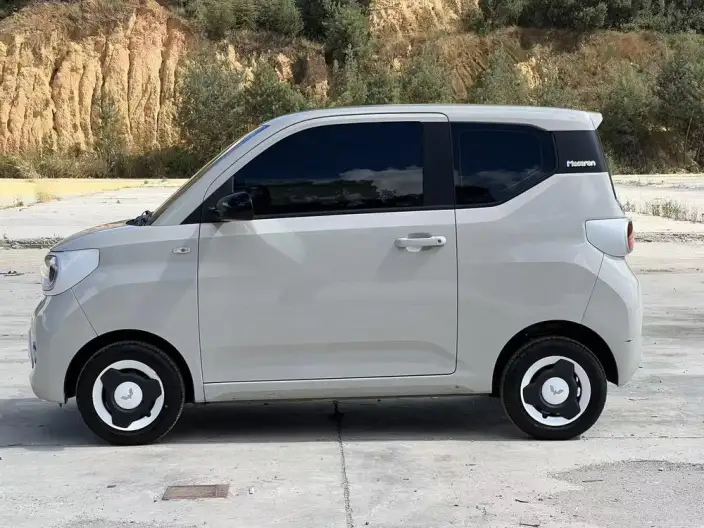 Wuling Hongguang MINIEV 2024 Model 215km Youth Edition Lithium Iron Phosphate