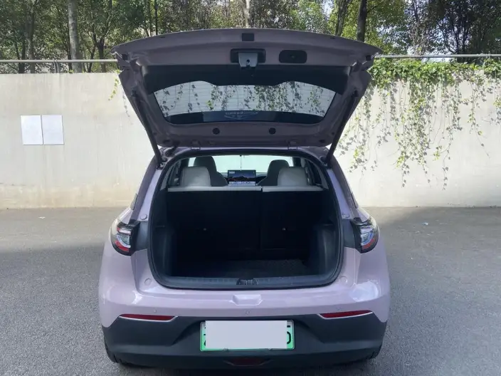 Geely Galaxy StarWish 2026 Model 410km Free Edition – фото 6