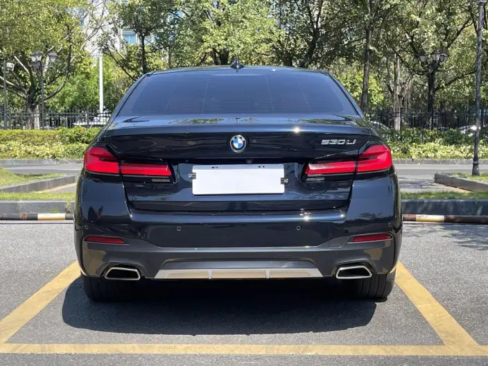 BMW 5 Series 2022 Model 530Li Leading Model M Sports Set – фото 6