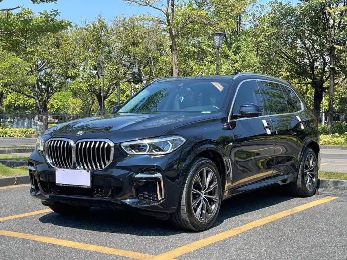 BMW X5 2022 Model xDrive 30Li Exclusive Model M Sports Set – фото 1