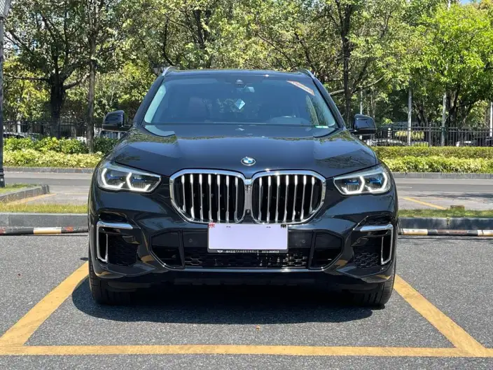 BMW X5 2022 Model xDrive 30Li Exclusive Model M Sports Set – фото 2
