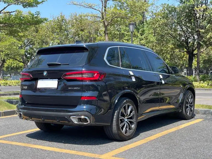 BMW X5 2022 Model xDrive 30Li Exclusive Model M Sports Set – фото 7