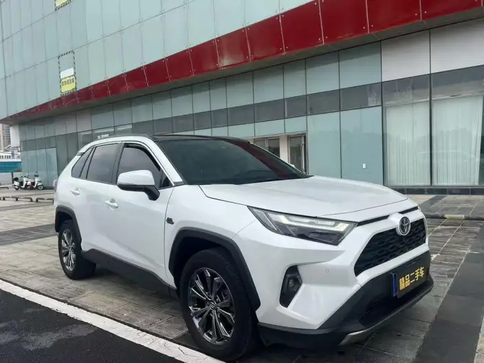 Toyota RAV4 2023 Model 2.0L CVT 2WD 20th Anniversary Platinum Memorial Edition – фото 3