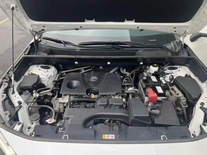 Toyota RAV4 2023 Model 2.0L CVT 2WD 20th Anniversary Platinum Memorial Edition – фото 9